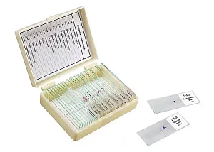 Набор микропрепаратов Микромед «Анатомия и физиология», 16 образцов, изображение 1