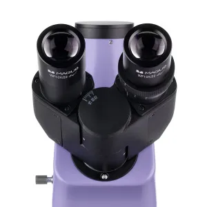 Микроскоп люминесцентный цифровой MAGUS Lum D400L, изображение 11