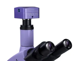 Микроскоп биологический цифровой MAGUS Bio D250T, изображение 26