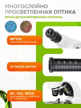 Микроскоп Levenhuk Rainbow 50L, изображение 22