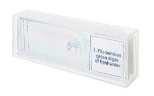 Набор микропрепаратов Levenhuk Discovery Prof DPS 5. «Биология», изображение 4