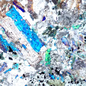 Микроскоп поляризационный цифровой MAGUS Pol D850, изображение 23