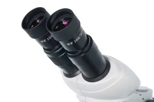 Микроскоп Levenhuk 4ST, бинокулярный, изображение 6