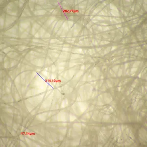 Микроскоп стереоскопический цифровой MAGUS Stereo D9T LCD, изображение 26