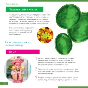 Микроскоп цифровой Levenhuk Discovery Atto Polar с книгой, изображение 6