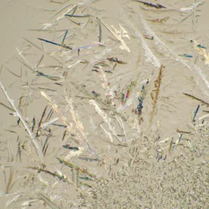 Микроскоп биологический MAGUS Bio 230B, изображение 23