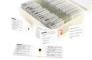 Набор микропрепаратов Konus 25: «Беспозвоночные и насекомые», изображение 5