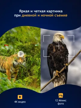 Бинокль цифровой ночного видения Levenhuk Halo 13X Helmet, с креплением на голову, изображение 16