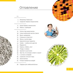 Микроскоп цифровой Levenhuk Discovery Atto Polar с книгой, изображение 5