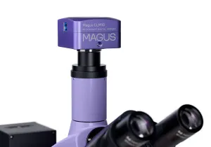 Микроскоп люминесцентный цифровой MAGUS Lum D400L, изображение 21