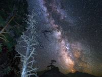 Смотрите на звезды у себя на даче или даже на балконе