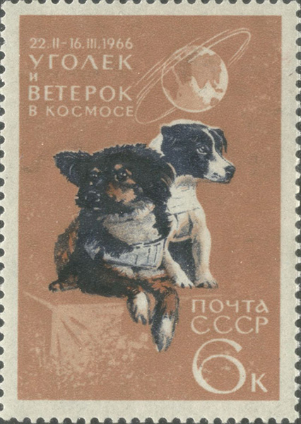 Первое живое существо в космосе